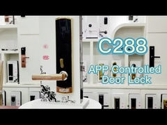 亜鉛合金のアパートのパスワードTTlock TuyaのAppが付いている電子ドア ロック